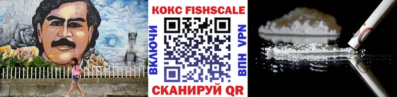 Cocaine Fish Scale  мориарти наркотические препараты  Кемерово  как найти наркотики 