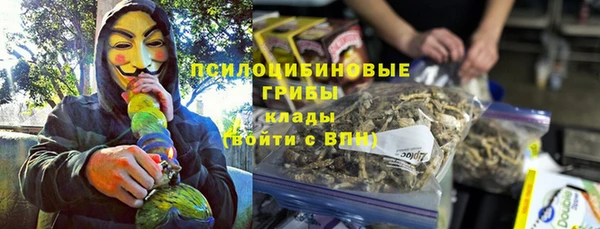 молекула духа Бугульма