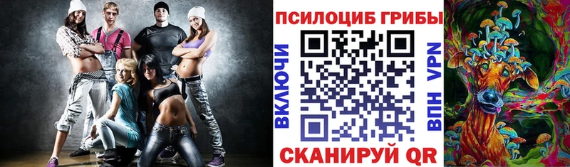 купить   Кемерово  Псилоцибиновые грибы Magic Shrooms 